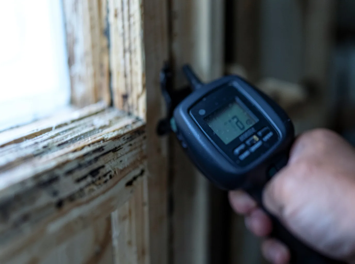Moisture Inspection And Documentation in Trexlertown, PA